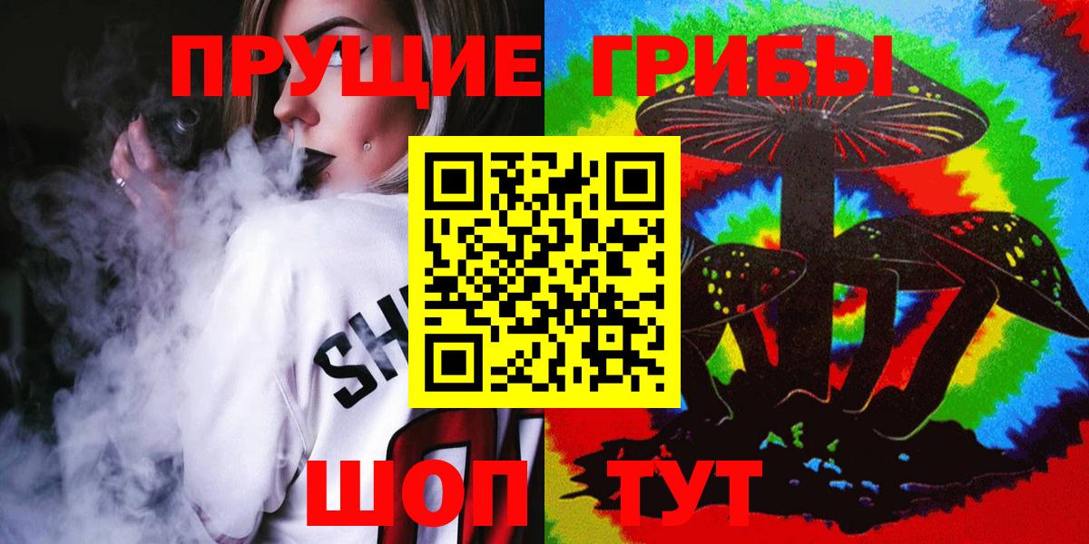 Кашира  наркота  Псилоцибиновые грибы Psilocybe  Вход с VPN  Псилоцибиновые грибы Psilocybe 