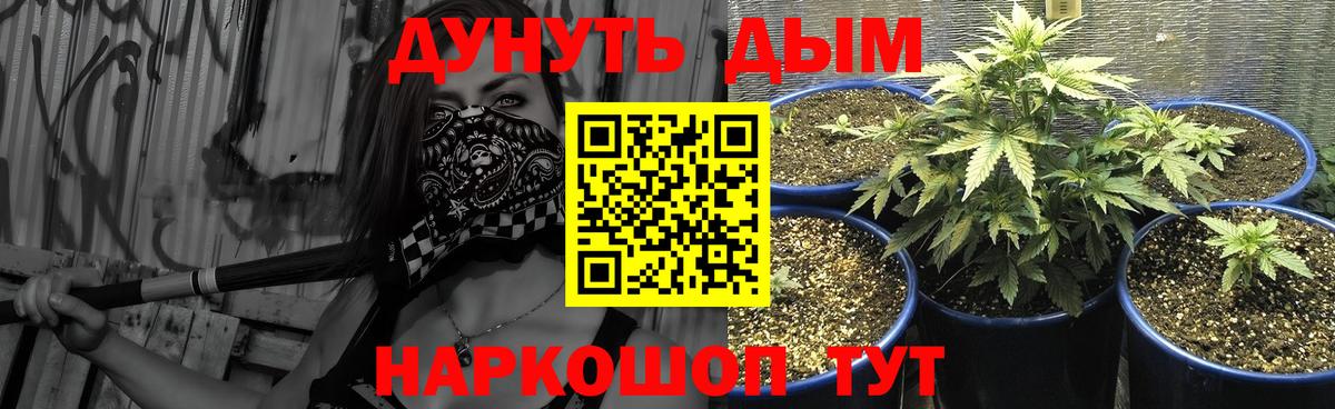 МАРИХУАНА конопля  Вход с VPN  Канабис конопля  Кашира  Марихуана SATIVA & INDICA  Бошки Шишки Bruce Banner 